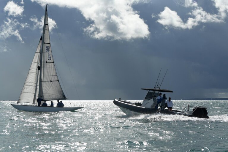 Protector Chase 310 - Ancasta